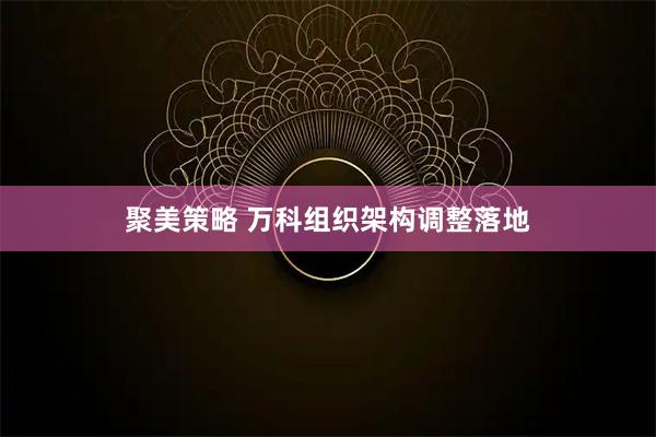 聚美策略 万科组织架构调整落地