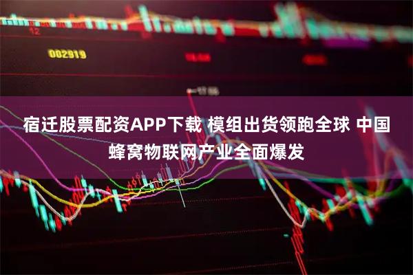 宿迁股票配资APP下载 模组出货领跑全球 中国蜂窝物联网产业全面爆发