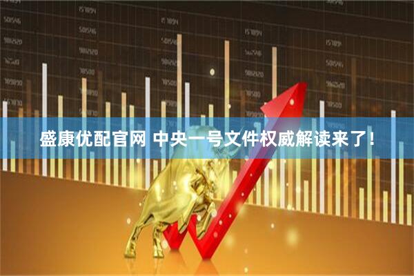 盛康优配官网 中央一号文件权威解读来了！