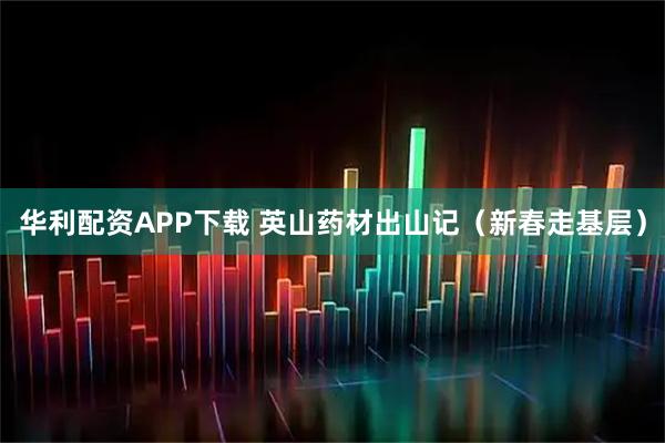 华利配资APP下载 英山药材出山记（新春走基层）